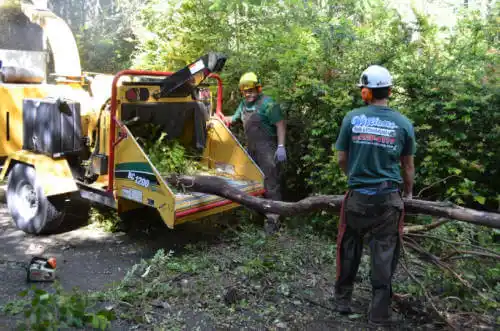 tree services Waukegan